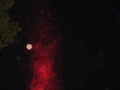 DSCN9570